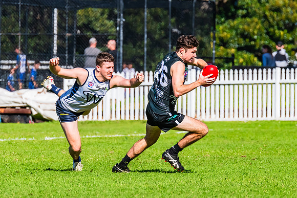 Rd 8 MPD - UTS v SWS - 31 May 2025