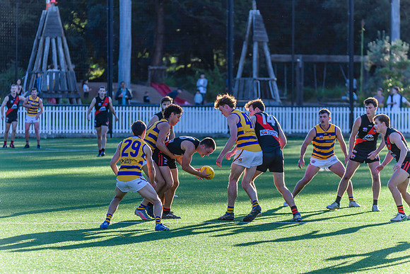 Rd 3 MPD - North Shore v Sydney Uni - 23 April 2022