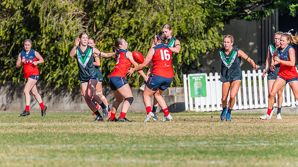 Rd 11 WPD - UTS v Pennant Hills - 25 June 2022