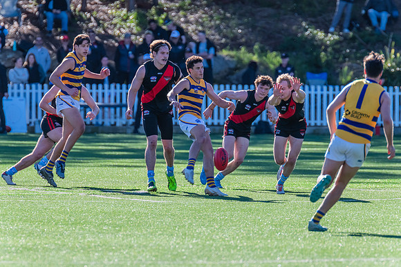 Rd 15 MPD - North Shore v Sydney Uni - 3 August 2024