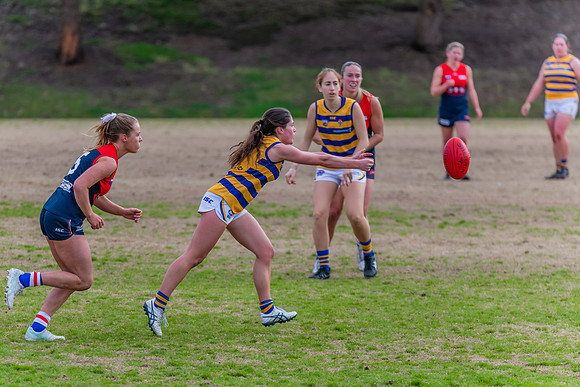 Rd 14 WPD - Pennant Hills v Sydney Uni - 16 July 2022