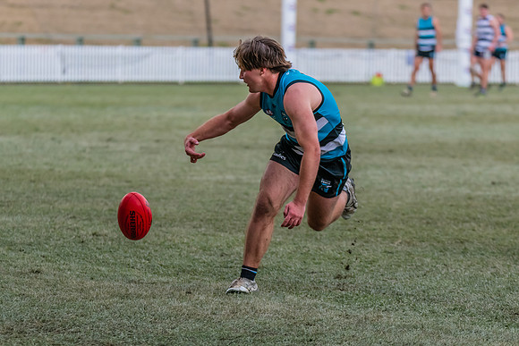 Platinum Div Preliminary Final - Southern Power v Camden Cats -