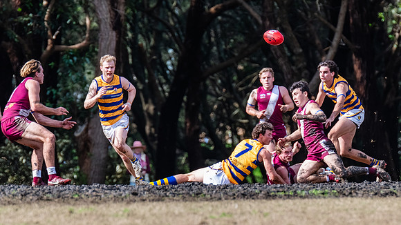 Rd 17 MPD - Manly Warringah v Sydney Uni - 16 August 2025