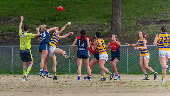 Rd 14 WPD - Pennant Hills v Sydney Uni - 16 July 2022