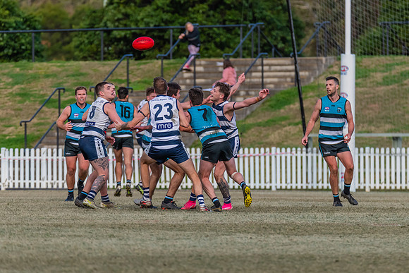Platinum Div Preliminary Final - Southern Power v Camden Cats -