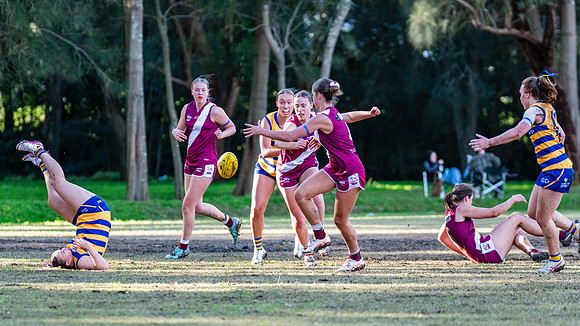 Rd 17 WPD - Manly Warringah v Sydney Uni - 16 August 2025