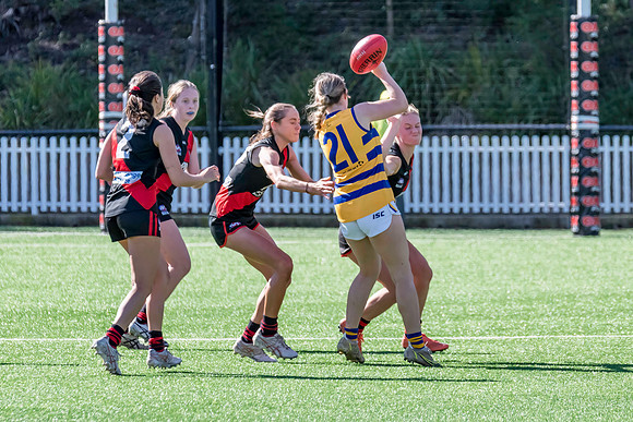 Rd 3 WPD - North Shore v Sydney Uni - 23 April 2022