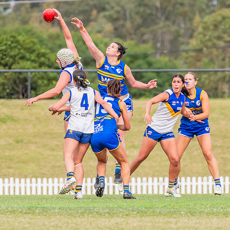 WPD Semi Final - Parramatta v Sydney Uni - 8 September 2024