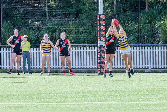 Rd 3 WPD - North Shore v Sydney Uni - 23 April 2022
