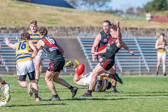 Men's Div 1 - Qualifying Final - North Shore v Sydney University