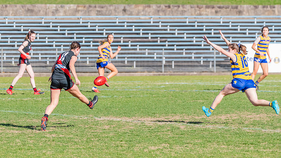 WPD Minor Semi Final - Sydney University v North Shore Bombers - 14 August 2022