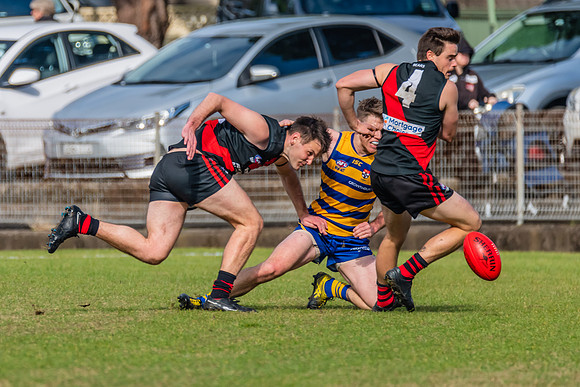 MPD Reserves Major Semi Final - Sydney University v North Shore
