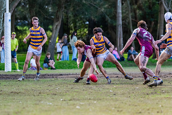Rd 17 MPD - Manly Warringah v Sydney Uni - 16 August 2025