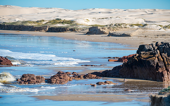 Sand dunes and the seashore