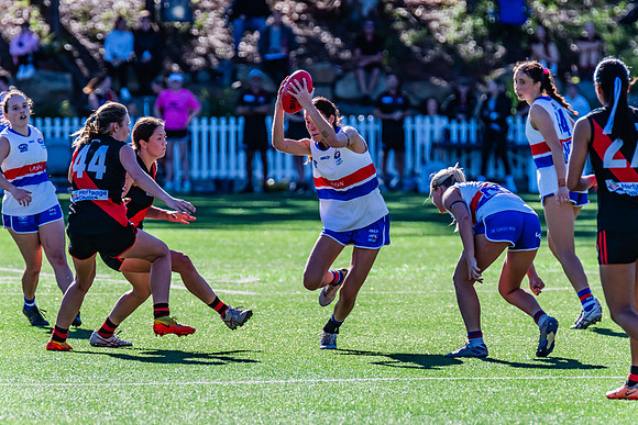 Rd 4 WPD - North Shore v UNSW-ES - 27 April 2024