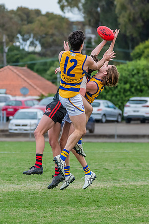 MPD Qualifying Final - North Shore v Sydney University - 20 Augu