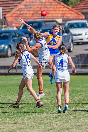 WPD Preliminary Final - East Coast v Sydney University - 21 Augu