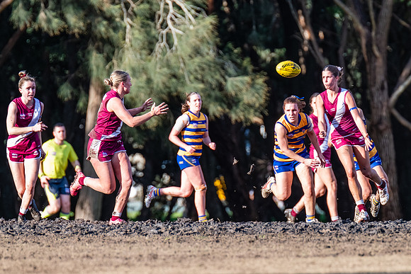 Rd 17 WPD - Manly Warringah v Sydney Uni - 16 August 2025