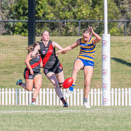 WPD Elimination Final - North Shore v Sydney Uni - 1 September 2