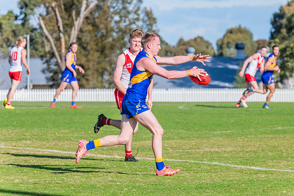 Rd 17 MPD - East Coast v St George - 17 August 2024