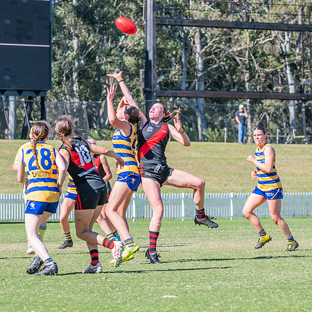 WPD Elimination Final - North Shore v Sydney Uni - 1 September 2