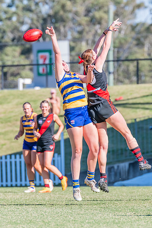 WPD Elimination Final - North Shore v Sydney Uni - 1 September 2