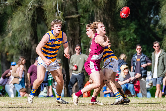 Rd 17 MPD - Manly Warringah v Sydney Uni - 16 August 2025