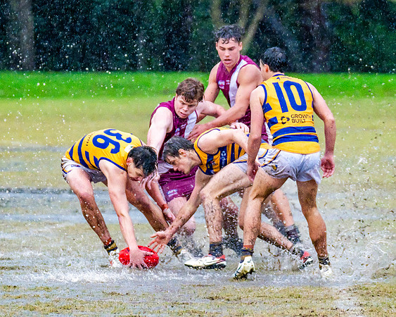 Rd 10 MPD - Manly Warringah v Sydney Uni - 22 June 2024