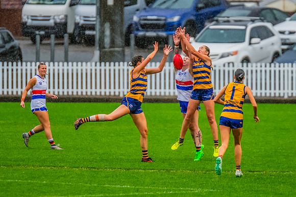Rd 8 WPD - UNSW-ES v Sydney Uni - 1 June 2024