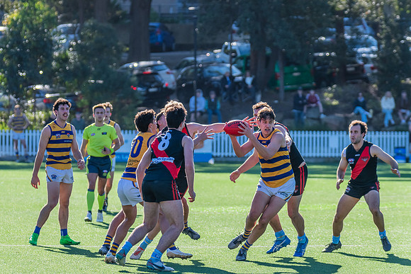 Rd 15 MPD - North Shore v Sydney Uni - 3 August 2024