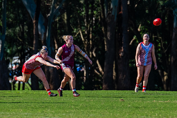 Rd 6 WPD - St George v Manly Warringah - 17 May 2025