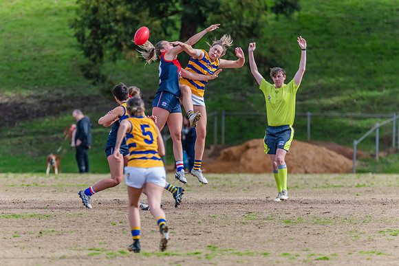 Rd 14 WPD - Pennant Hills v Sydney Uni - 16 July 2022