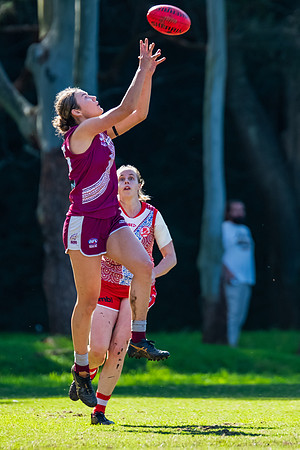 Rd 6 WPD - St George v Manly Warringah - 17 May 2025