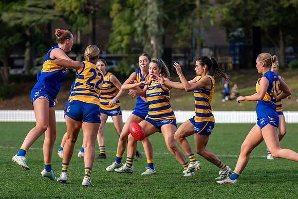 Rd 12 WPD - Sydney Uni v East Coast - 5 July 2025