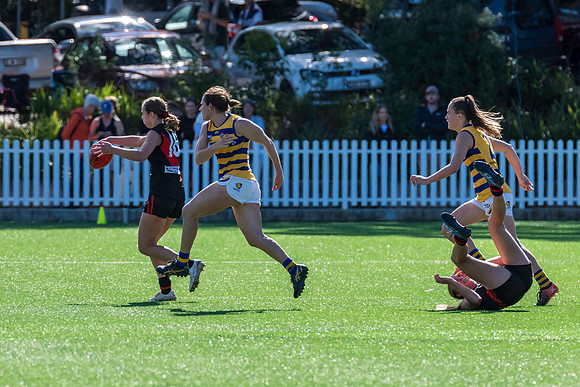 Rd 3 WPD - North Shore v Sydney Uni - 23 April 2022
