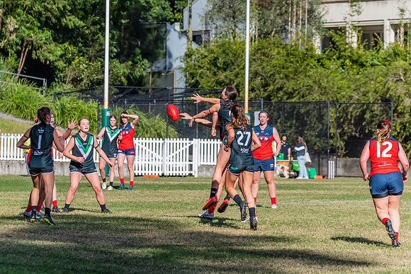 Rd 11 WPD - UTS v Pennant Hills - 25 June 2022