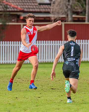 Rd 7 MPD - St George v UTS - 25 May 2024