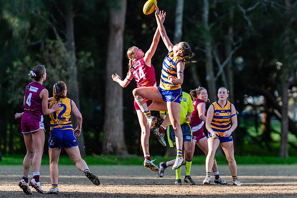 Rd 17 WPD - Manly Warringah v Sydney Uni - 16 August 2025