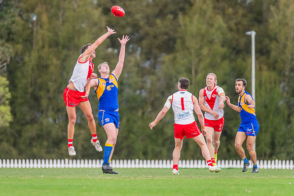 Rd 17 MPD - East Coast v St George - 17 August 2024