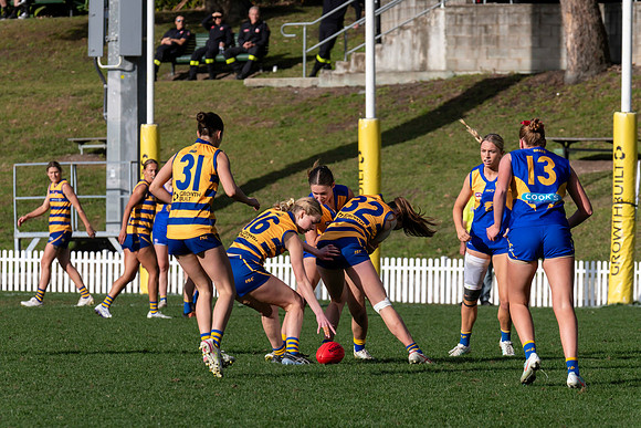 Rd 12 WPD - Sydney Uni v East Coast - 5 July 2025