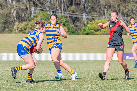 WPD Elimination Final - North Shore v Sydney Uni - 1 September 2