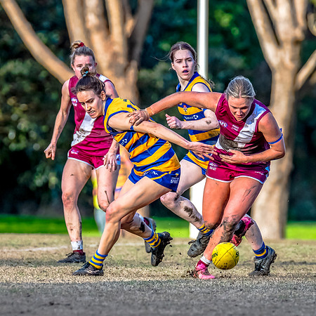 Rd 17 WPD - Manly Warringah v Sydney Uni - 16 August 2025