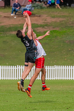 Rd 7 MPD - St George v UTS - 25 May 2024