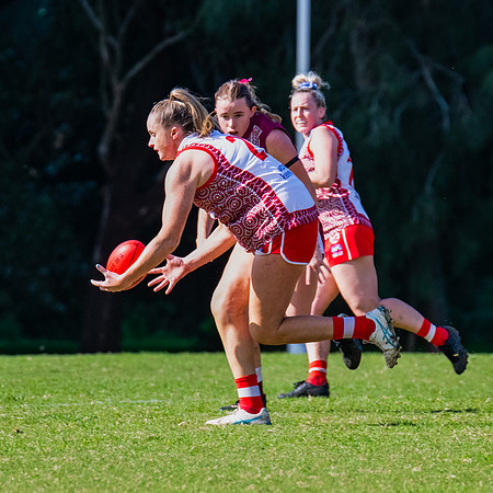 Rd 6 WPD - St George v Manly Warringah - 17 May 2025