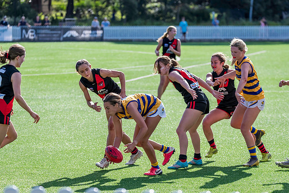 Rd 3 WPD - North Shore v Sydney Uni - 23 April 2022
