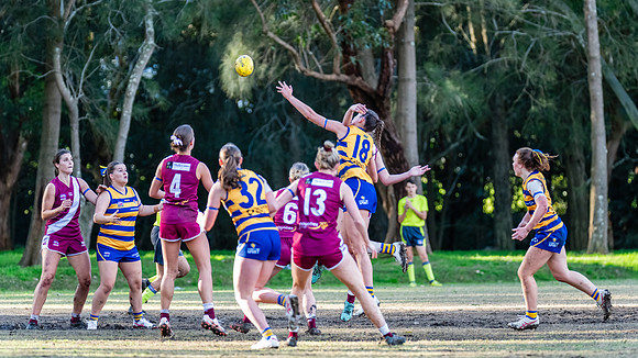 Rd 17 WPD - Manly Warringah v Sydney Uni - 16 August 2025