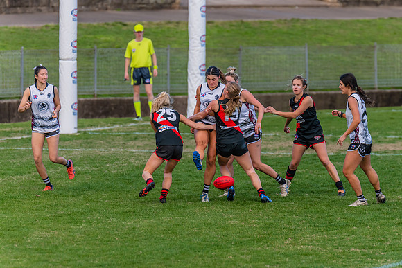 WPD Elimination Final - North Shore v Inner West - 7 August 2022