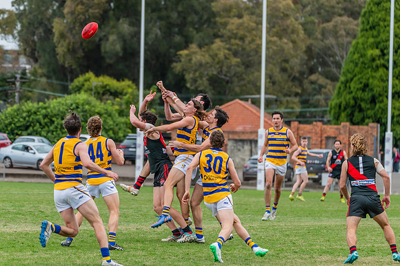 MPD Qualifying Final - North Shore v Sydney University - 20 Augu
