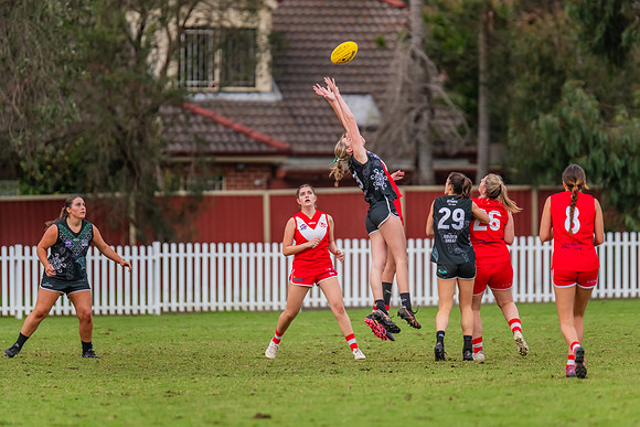 Rd 7 WPD - St George v UTS - 25 May 2024