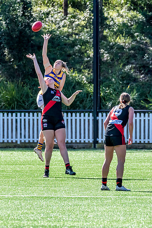 Rd 3 WPD - North Shore v Sydney Uni - 23 April 2022